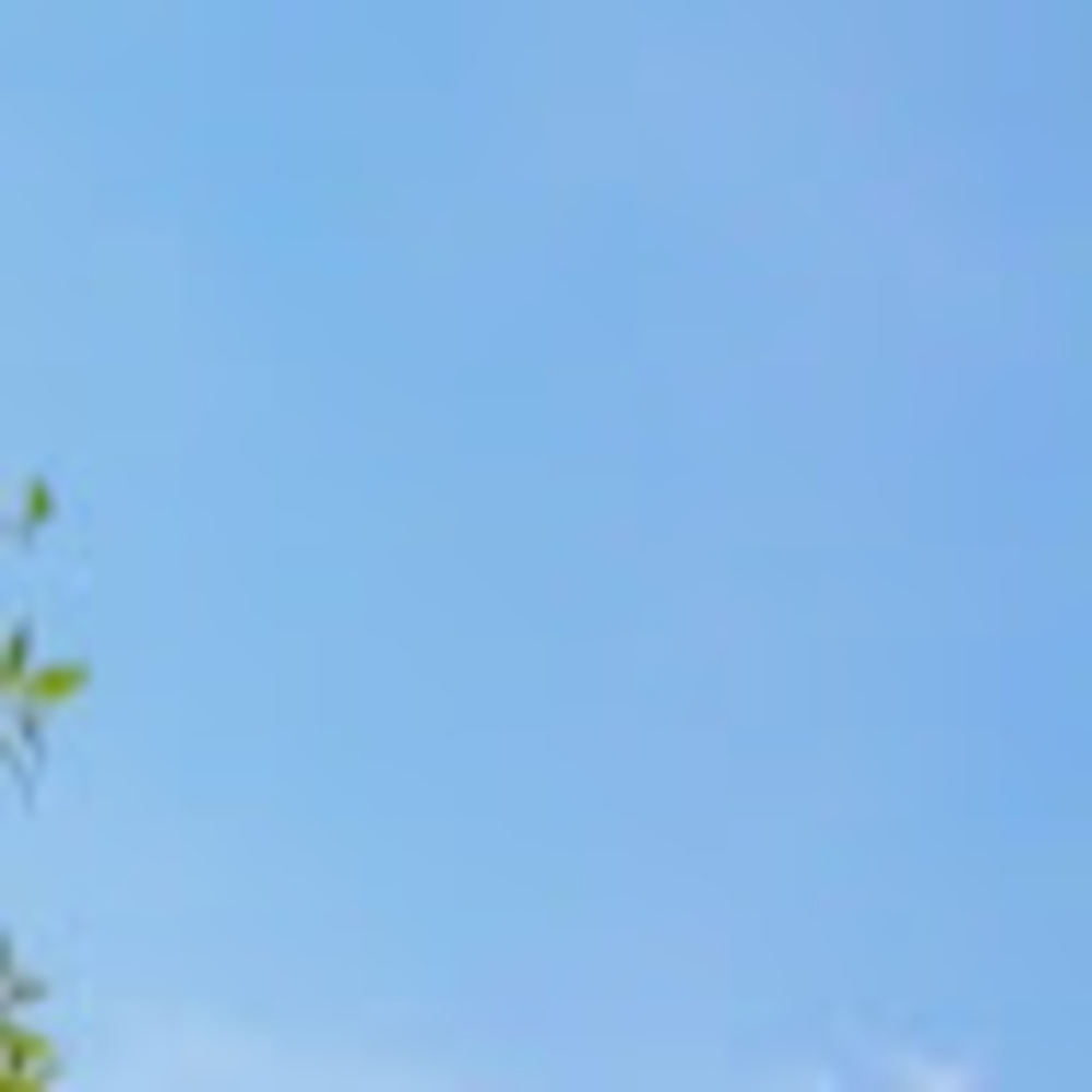 Meet your Posher, Logan